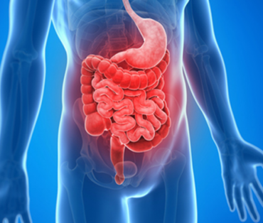 SCD Science in Practice Image